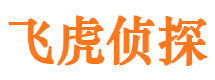 太子河外遇调查取证